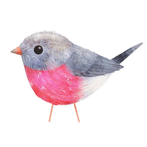 Robin PRO Image Gallery