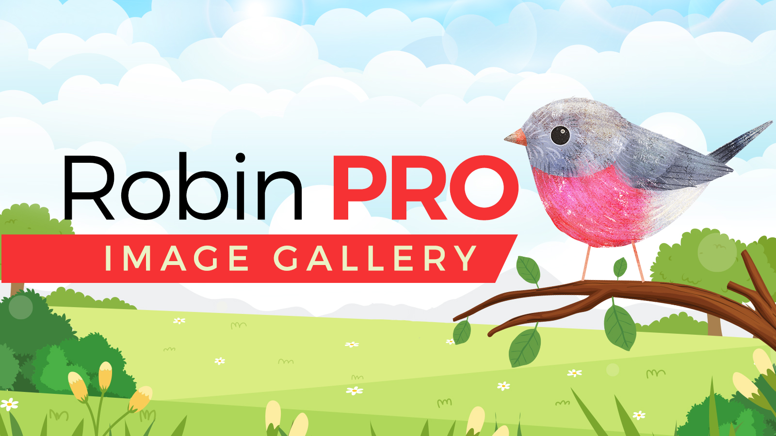 Screenshot of robinpro.gallery
